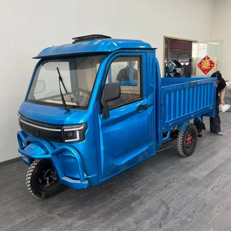 Electric Cargo Tricycle 800W M - đánh giá và giá Electric Scooter Adults