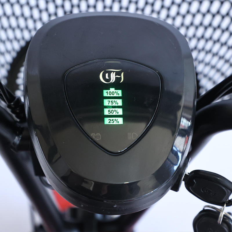 NEW Adult Tricycle Travel Pare - đánh giá và giá Folding Electric Scooter